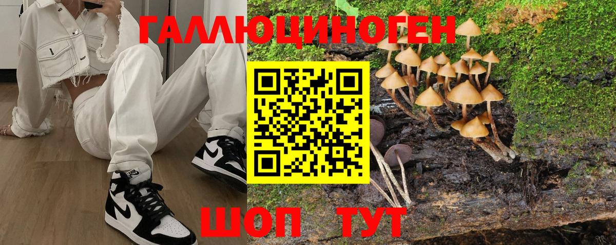 Галлюциногенные грибы GOLDEN TEACHER  Вход с VPN  Красноярск  Галлюциногенные грибы MAGIC MUSHROOMS 